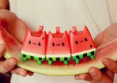 WatermelonCat-Rato-Kim-03.jpg