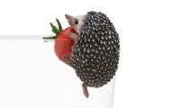 hedgie1.jpg