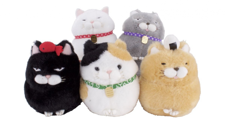 cat plushies plushy cat